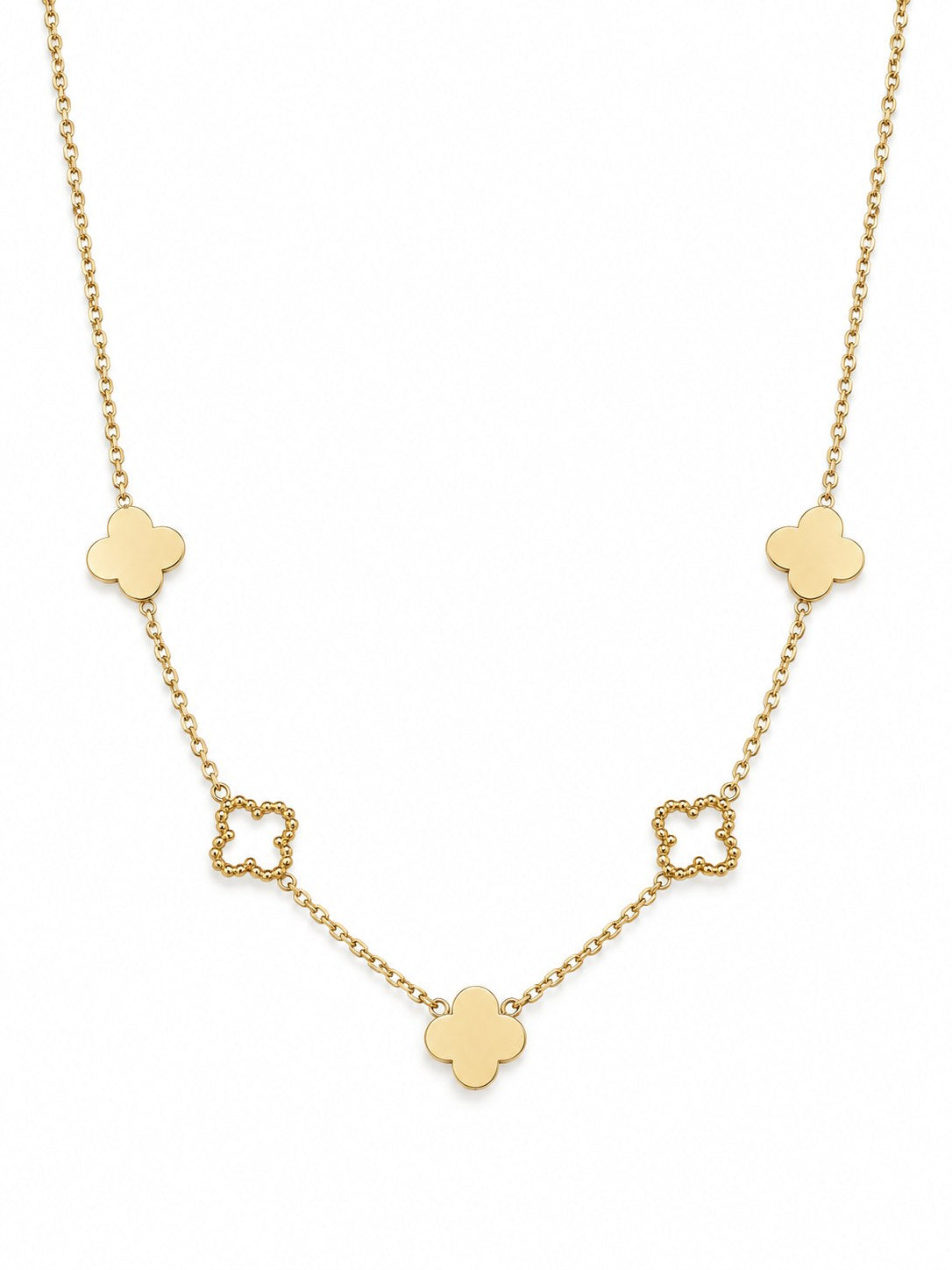 Lucky Clover